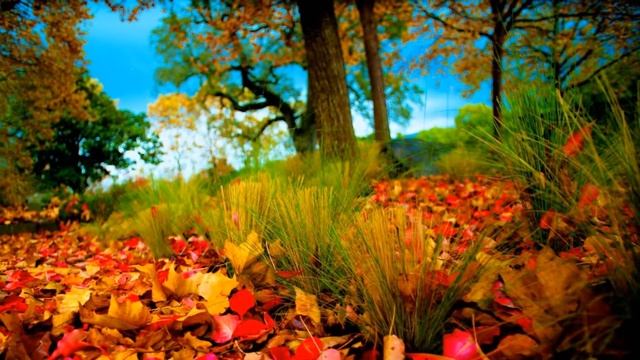 Прикол!!! Фото смотреть онлайн