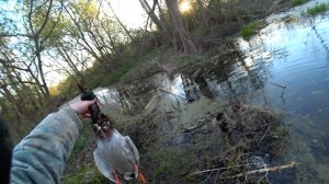 Охота на СЕЛЕЗНЯ.