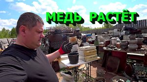 Медь растёт! Разобрал древние компьютеры! Серебро! Куча плат!