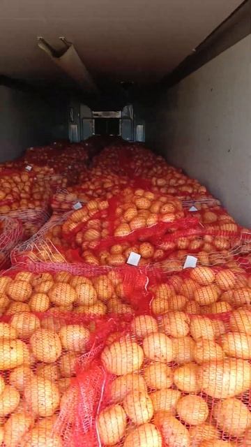 Экспорт Македония картофель и морков #картофель #карт? смотреть онлайн