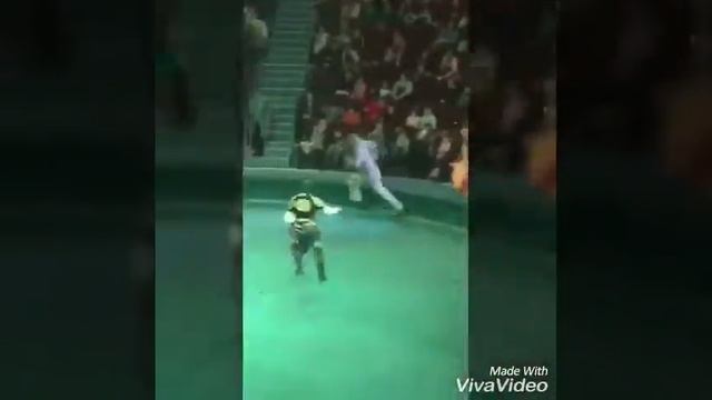 8 января 2018 г.