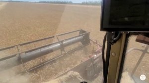 Обзор комбайна Палессе GS 12, уборка озимой пшеницы!