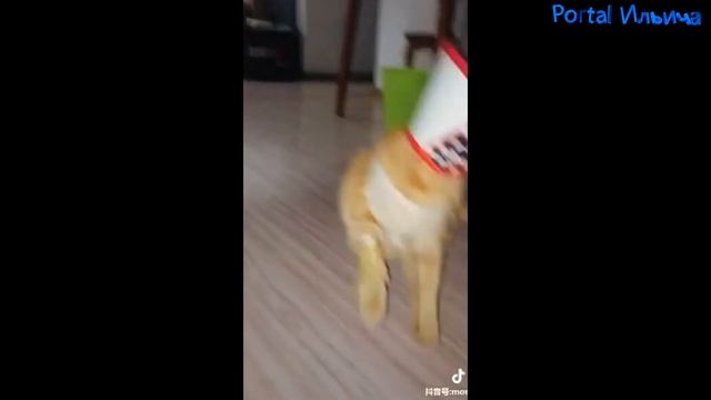 FUN MOVIES - Трахаццо #127 смотреть онлайн