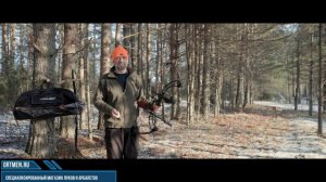 Какой лук выбрать? Блочный или рекурсивный