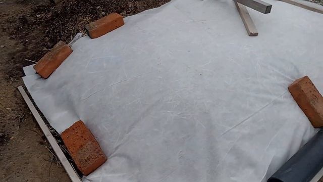 Виноград в Приморском Крае 🍇6 мая, +6 градусов О. Г. , за смотреть онлайн