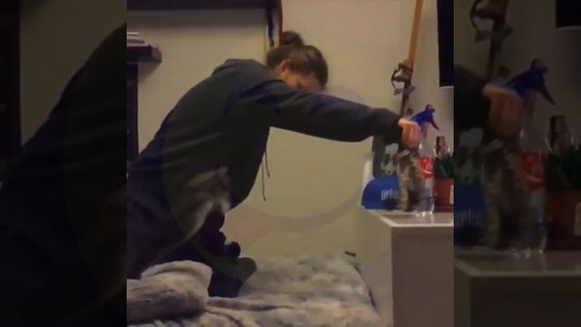 ПРИКОЛЫ 15 подборка приколов Март 2016 Смешное Видео смотреть онлайн