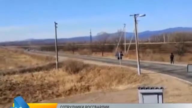 Сотрудники Росгвардии совместно с ГИБДД УМВД России по ЕАО задержали автоугонщиков смотреть онлайн