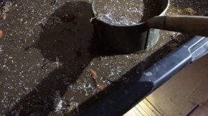 Обработка абрикоса весной от болезней | Барматуха