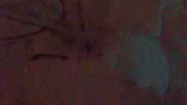 Вот это прикол!! смотреть онлайн