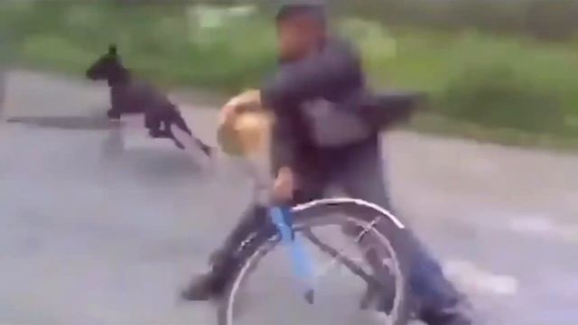 Танковые приколы WOT Blits лутчше смотреть онлайн
