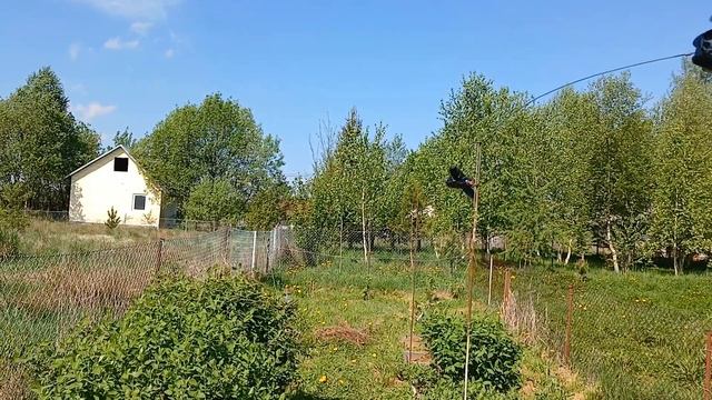 НАШ ЯГІДНИЙ САДОЧОК після ЗАМОРОЗКІВ/ЗАХИСТ МАЙБУТНЬ? смотреть онлайн