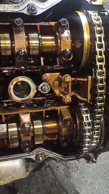 Bmw 2.5 i, двигатель 256S5 смотреть онлайн