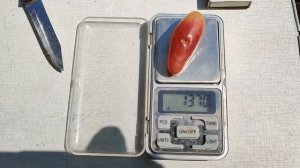 Виноград Зевс