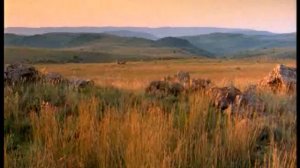 Мистер Бонс