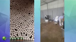 Формовочная машина для фрикаделек Vega Meatball H600