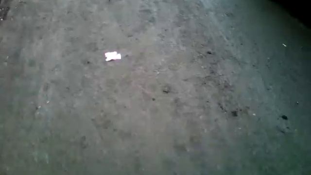 Типо приколы ПРИКЛЮЧЕНИЯ НА СВОЙ ЗАД 1 СЕЗОН ЧАСТЬ 1