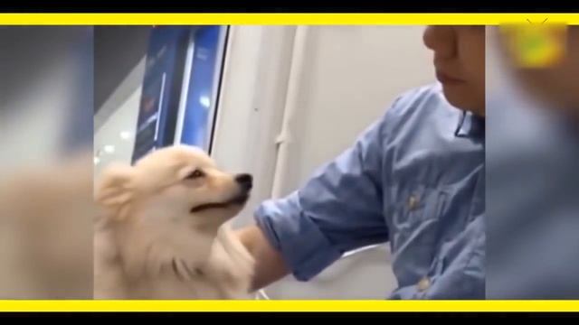 Лучшие приколы смотреть онлайн