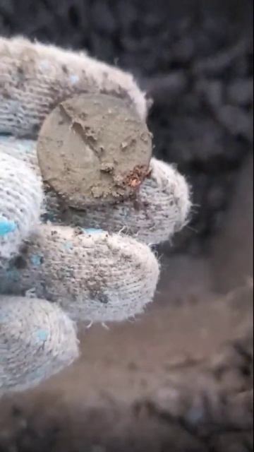 Поиск монет в жилой деревне #клад #кладоискатели #мета? смотреть онлайн