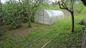 Видеообзор дачный участок СНТ Дружба, Тула, Калужское шоссе.