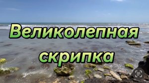 16 мая всемирный день скрипки. Великолепная скрипка, симфоническая история