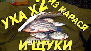 УХА х2 ИЗ КАРАСЯ И ЩУКИ