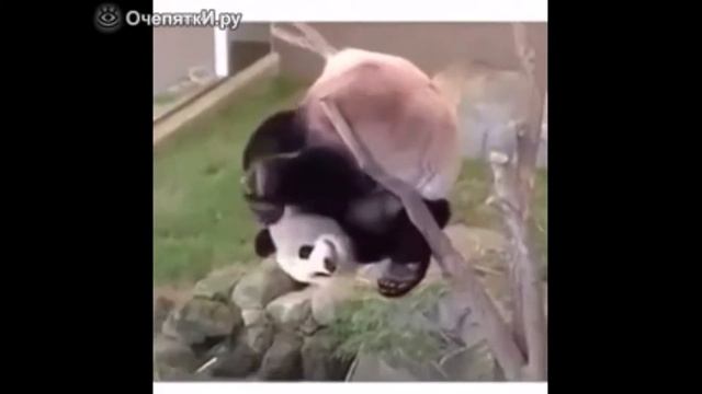 Очепятки. Ру смотреть онлайн