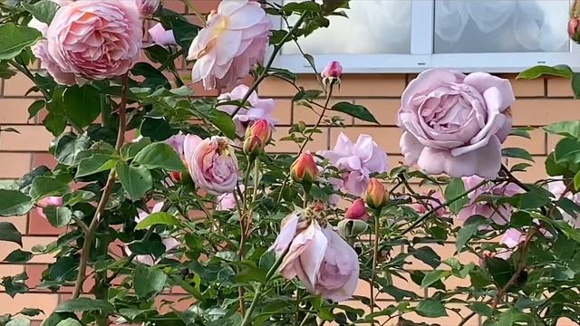 28 ноября 2023 г.