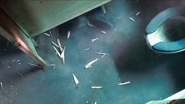 ЛУЧШИЕ ПРИКОЛЫ смотреть всем до конца смотреть онлайн