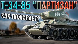 Т-34-85 "Партизан" как играется в 2025 году в War Thunder?