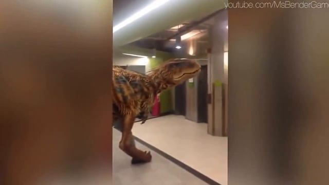 Лучшие приколы смотреть онлайн