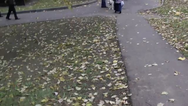 3 серия "Пропажа"! Крутой Мишка. смотреть онлайн