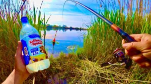 ЗАКИНУЛ ПОПЛАВОК ЗА КАМЫШ ДОБАВИЛ МОЛОКА И НАЧАЛОСЬ рыбалка на удочку в мае