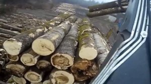 ВЫВОЗКА ЛЕСА КАМАЗ43118 Гидроманипулятор Велмаш VM10L