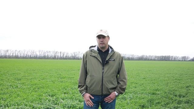 Первая хим.обработка озимой пшеницы