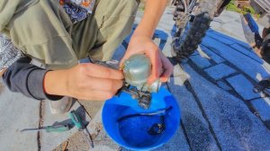 ЧИСТКА КАРБЮРАТОРА ПИТБАЙКА #питбайк #эндуро #мото