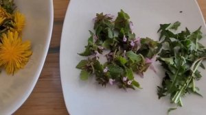 Салат из листьев одуванчика/Салат из цветов одуванчик