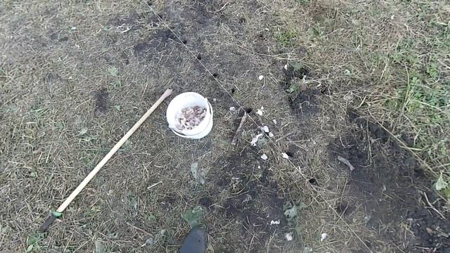 Садовый райский уют