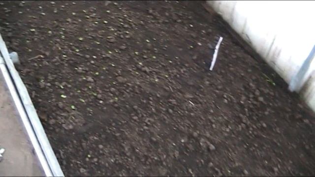 ЗИМА В АПРЕЛЕ, ПОГОДА РУШИТ ПЛАНЫ, РЕДИС ПОТИХОНЬКУ ВС? смотреть онлайн