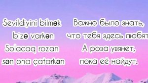 🎶Roza Zergerli - Istedim | text |  | текст песни |