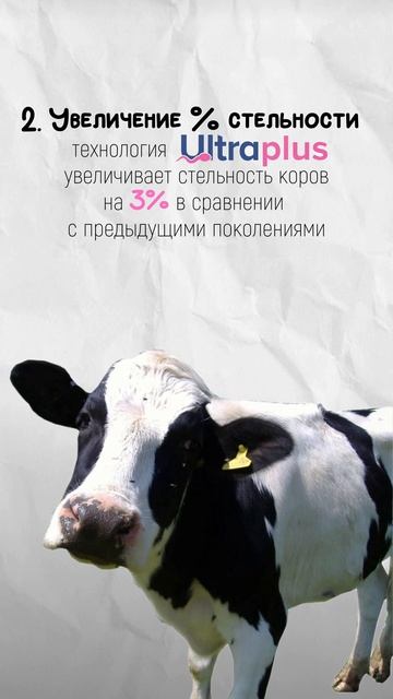 🔥 Сексированное семя российского производства по технологии Ultraplus® от ТД «Интерген» ⭐️