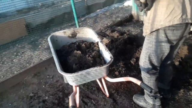 7 апреля. Помидоры Санька.Весенний сезон в разгаре. Нов смотреть онлайн