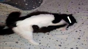 Кальянный рэп для пьяных школьников