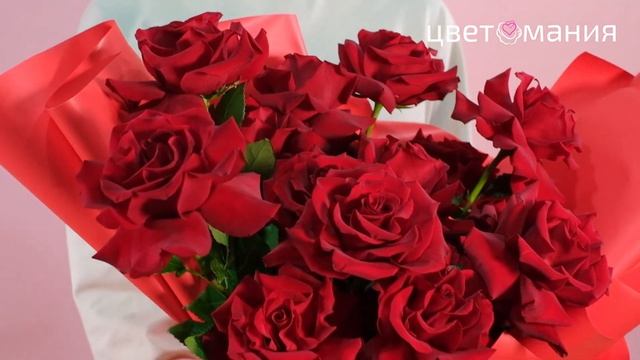 Букет из 15 красных французских роз смотреть онлайн