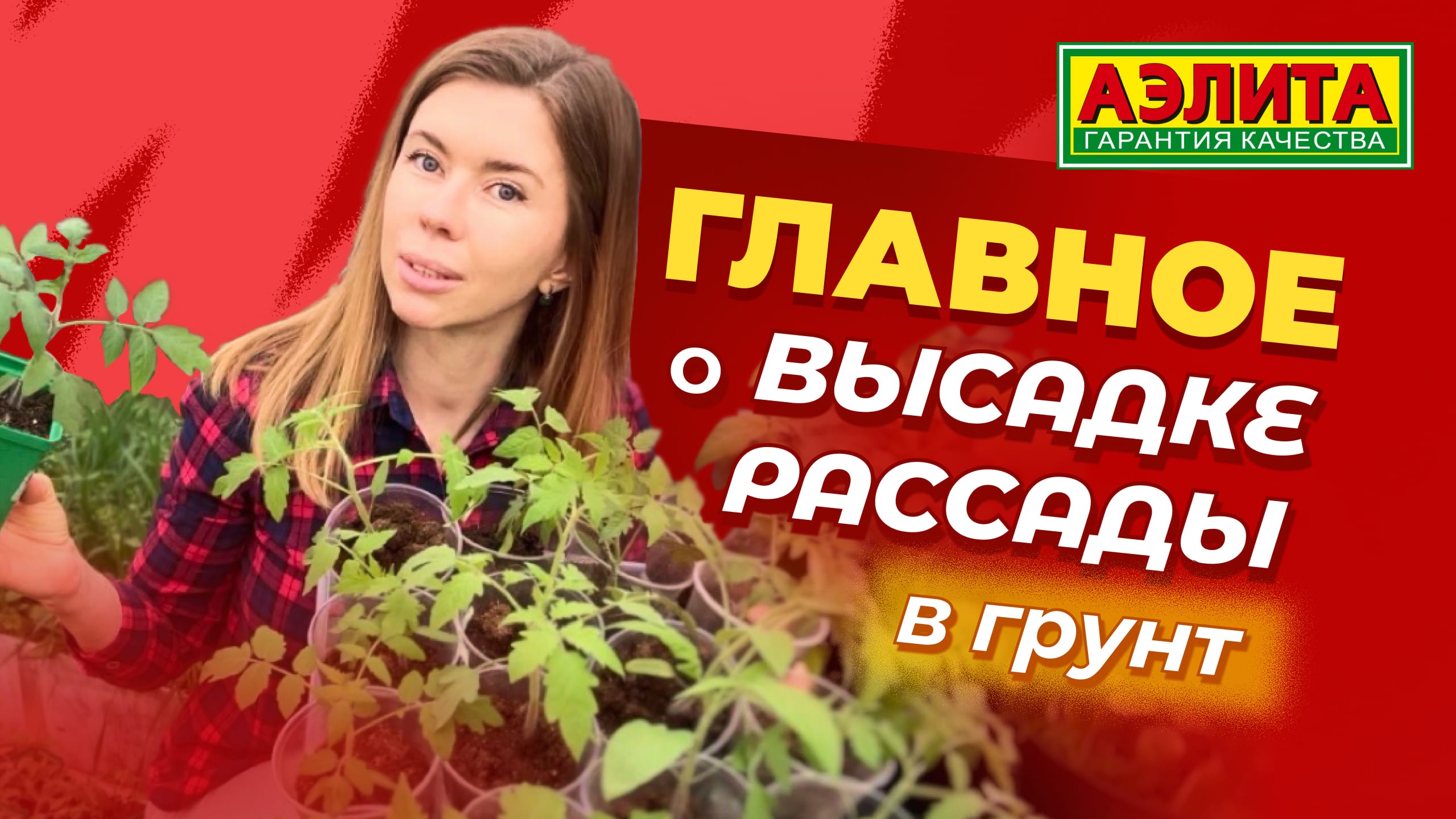 ВЫСАДКА РАССАДЫ В ГРУНТ. Главные советы! смотреть онлайн