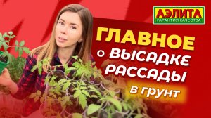 ВЫСАДКА РАССАДЫ В ГРУНТ. Главные советы!