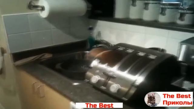 Самые смешные приколы до слез [Сборка #26] - The Best Приколы смотреть онлайн