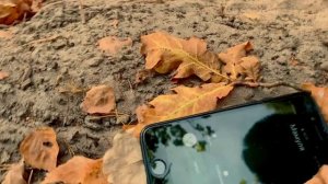 ПОТЕРЯЛ телефон в лесу.............