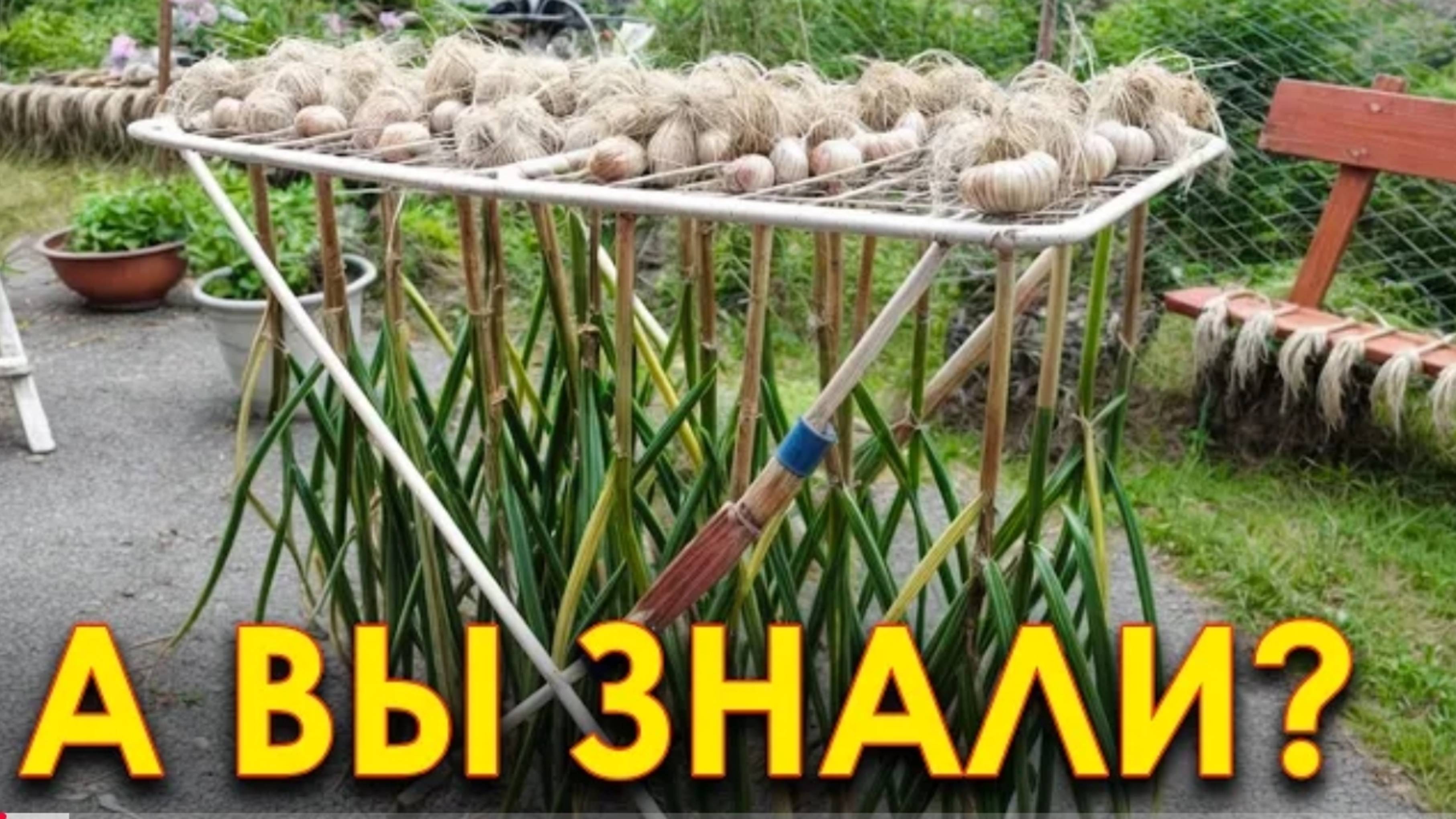 ХИТРОСТИ дачников и ИДЕИ для ОГОРОДА | ЛАЙФХАКИ смотреть онлайн