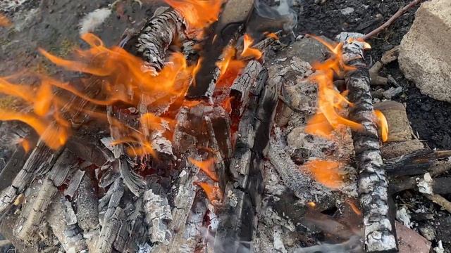 Жарим картошку на костре незабываемым зимним днем и к? смотреть онлайн