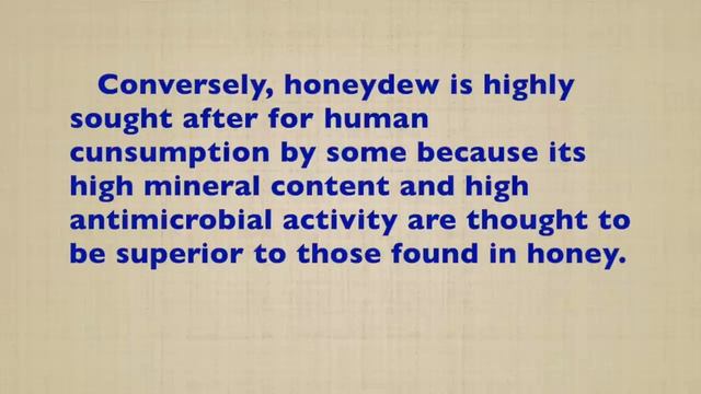 Падевый мед и мёд рододендрона на юго-востоке США (Боб